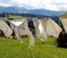 Baby bibs drying on a rack